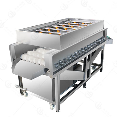 Brush Roller Fruit Vegetable Washing Machine - Taibo Food Processing ...