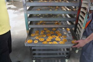 Fruit&Vegetable Drying Machine, China Famous Supplier of Fruit and  Vegetable Processing Machine