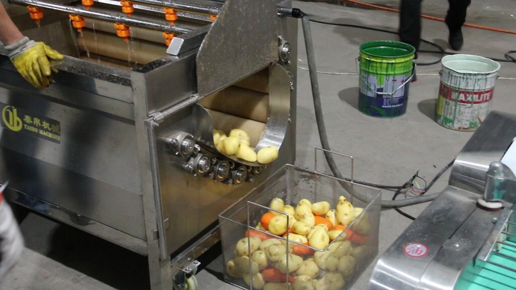 Clean vegetables discharged from peeling machine outlet
