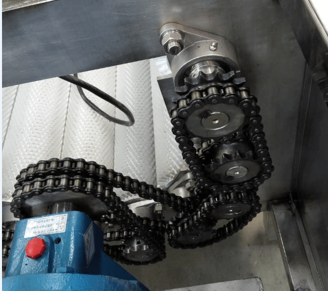 Gear and chain drive system of vegetable peeling machine for humid conditions