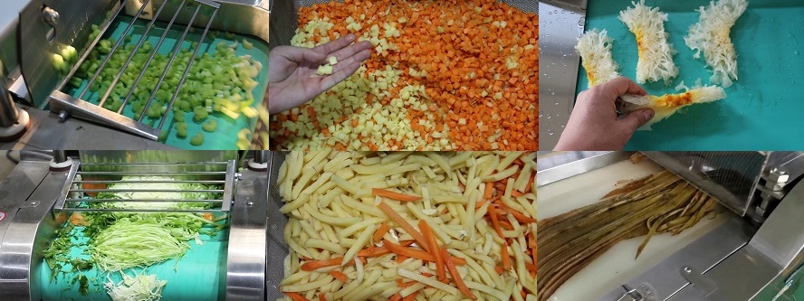 Various cutting types of food cutting machine