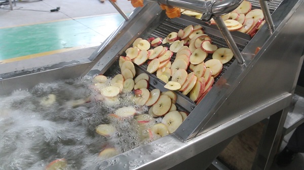 industrial bubble washing machine for fruits