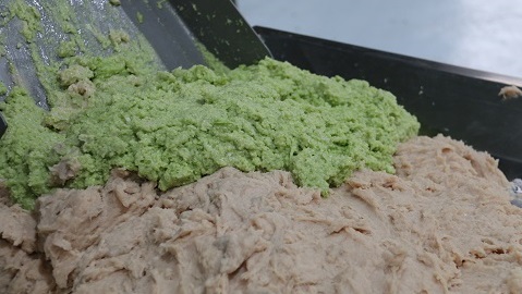 mixed filling for empanada, pasta