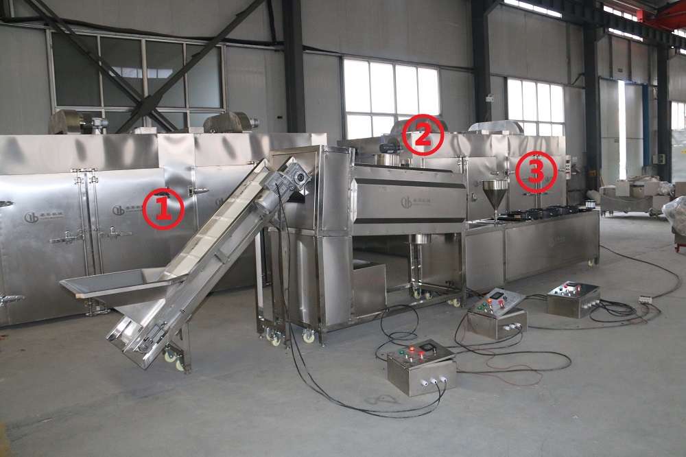 industrial dates dry washing polishing line