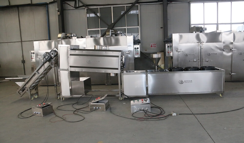 industrial dates dry washing polishing line